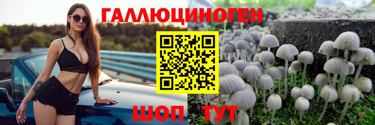 Дедовск  Псилоцибиновые грибы мухоморы  Вход с VPN  Псилоцибиновые грибы Psilocybe 