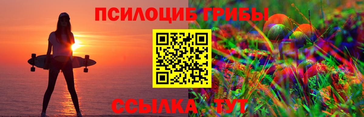 Галлюциногенные грибы Psilocybine cubensis Дедовск