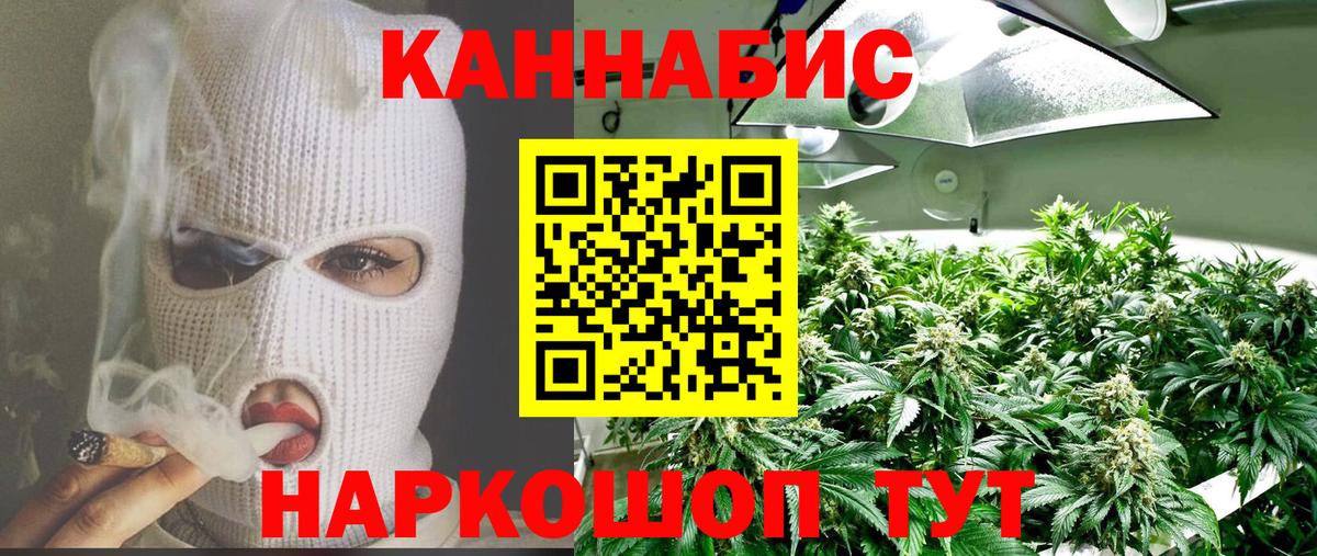 Шишки марихуана планчик Дедовск